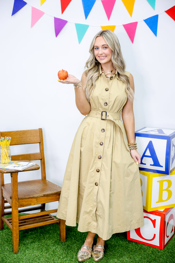 Boutique Belted Dress "Taupe"
